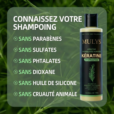 Le Revitalisant Moléculaire Mulys