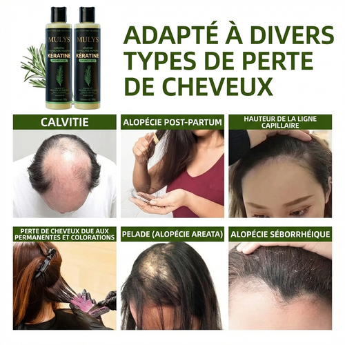 Le Revitalisant Moléculaire Mulys